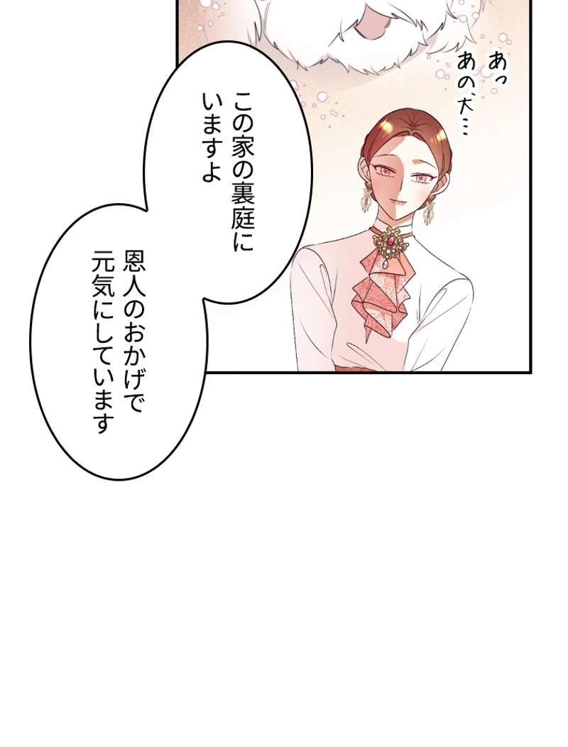 P65