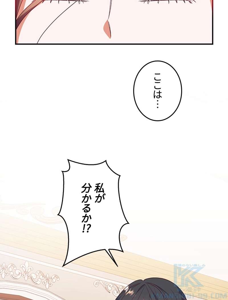 P53