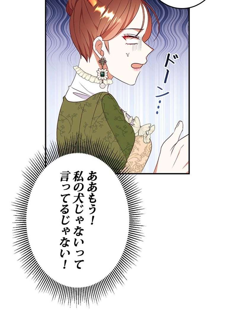 P44