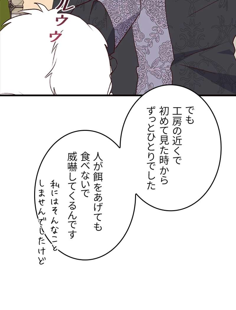 P53