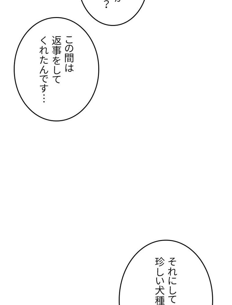 P62