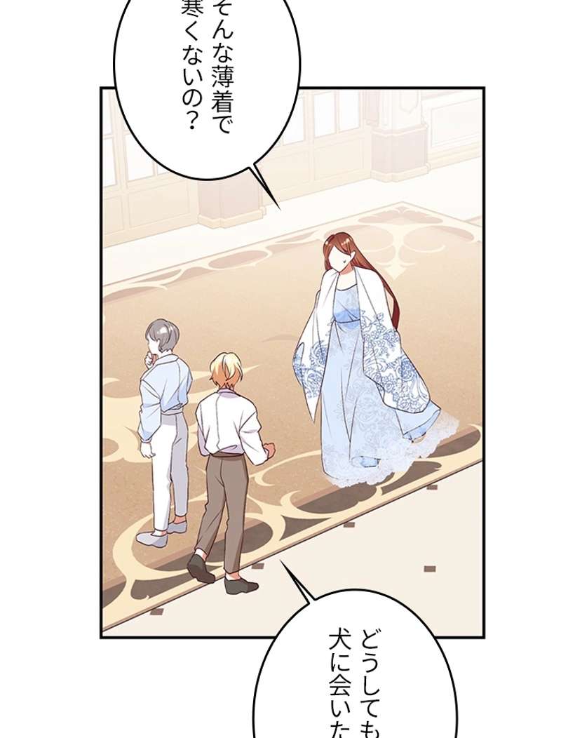 P81
