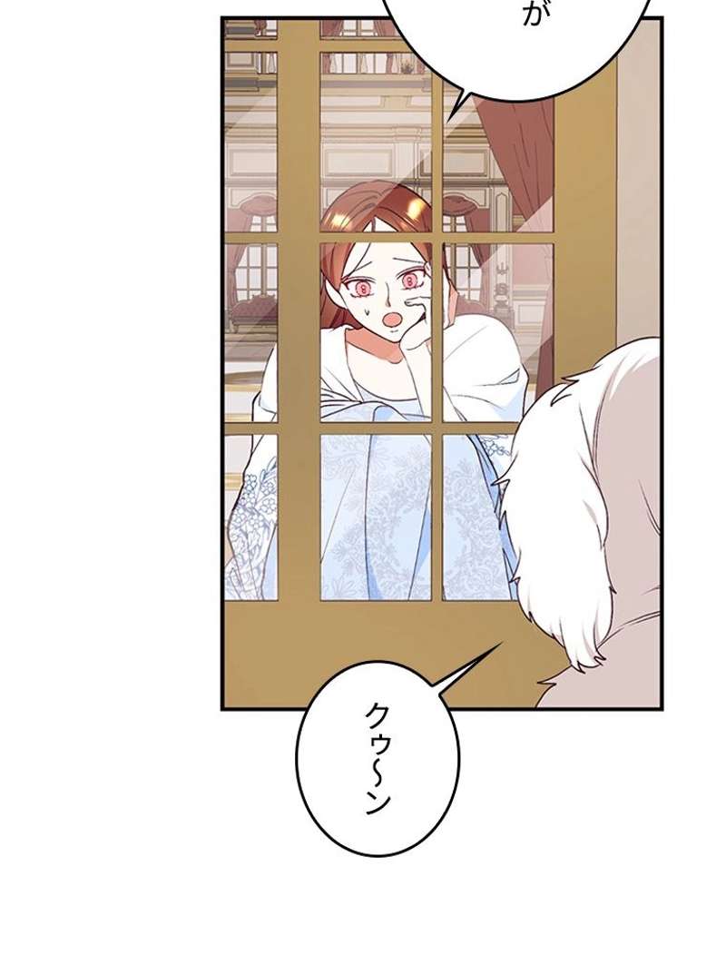 P84