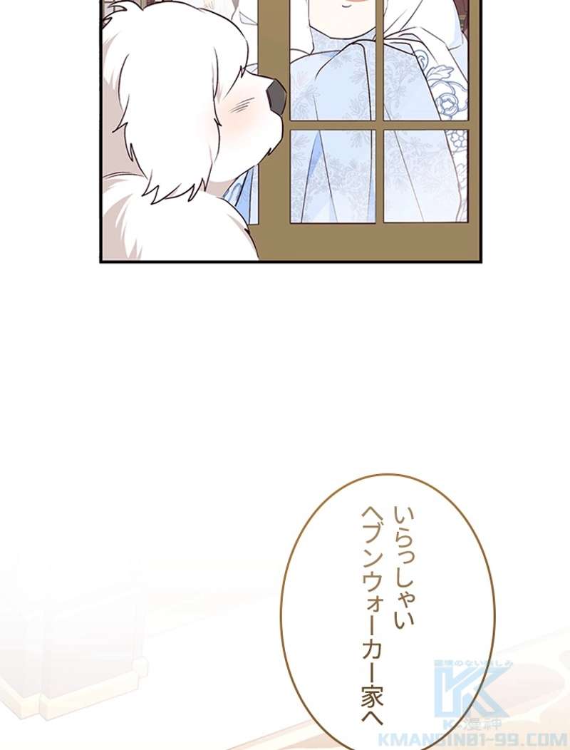 P91