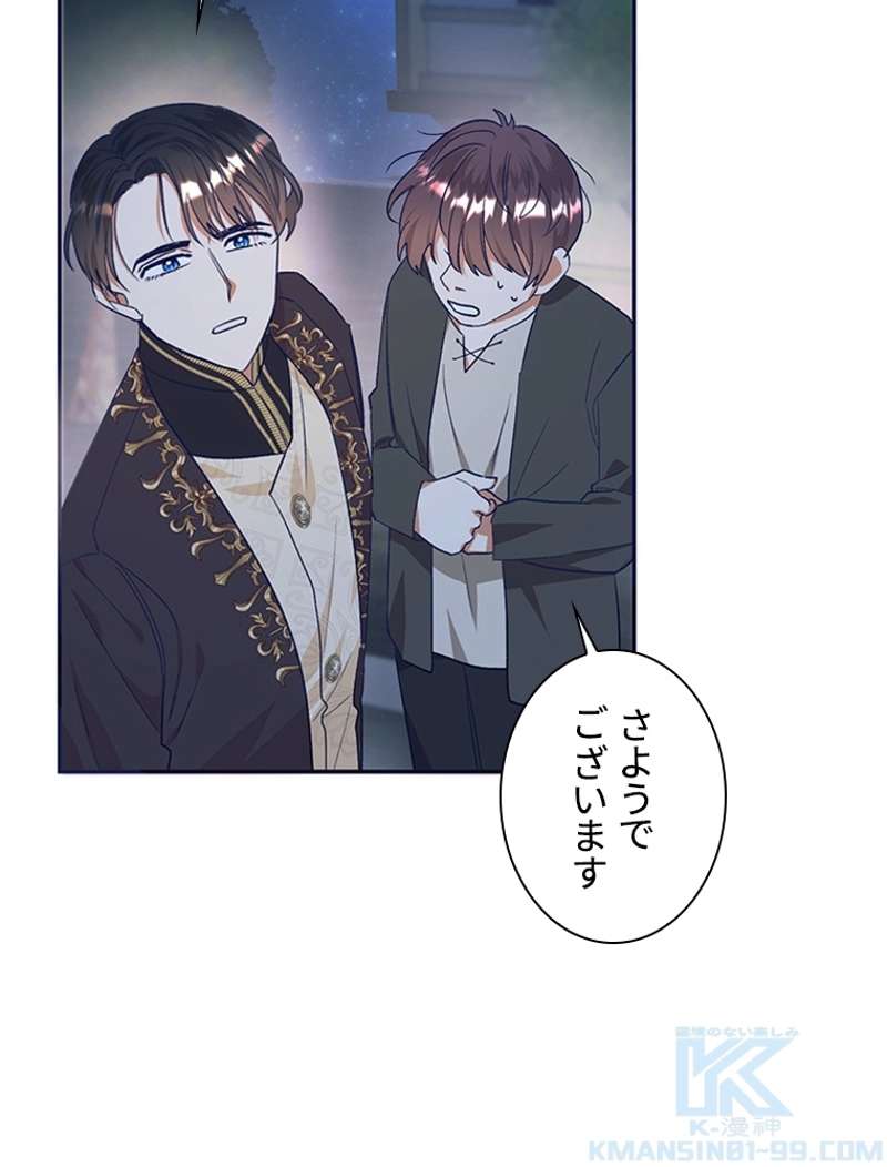 P53