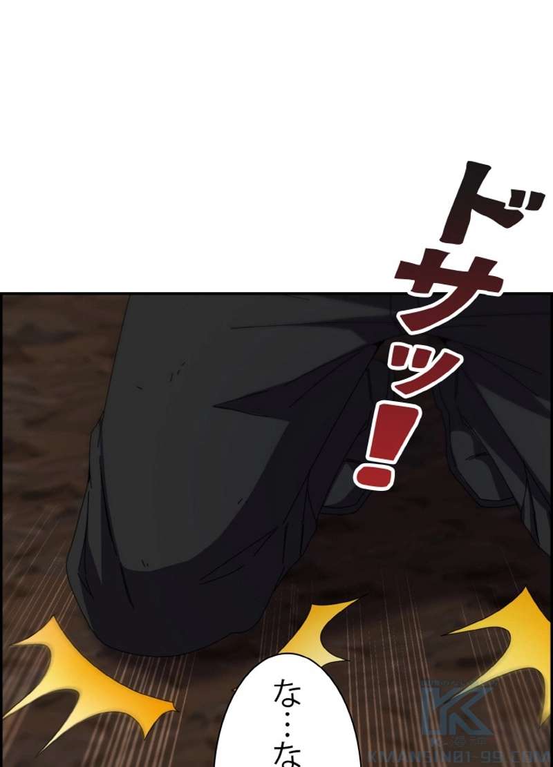 P58