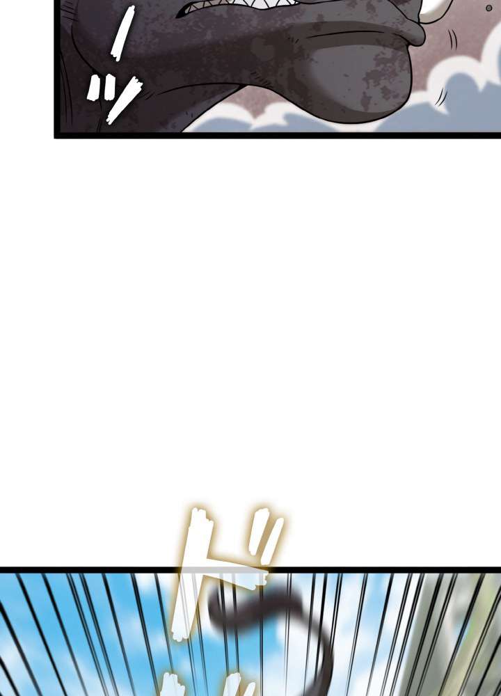 P51