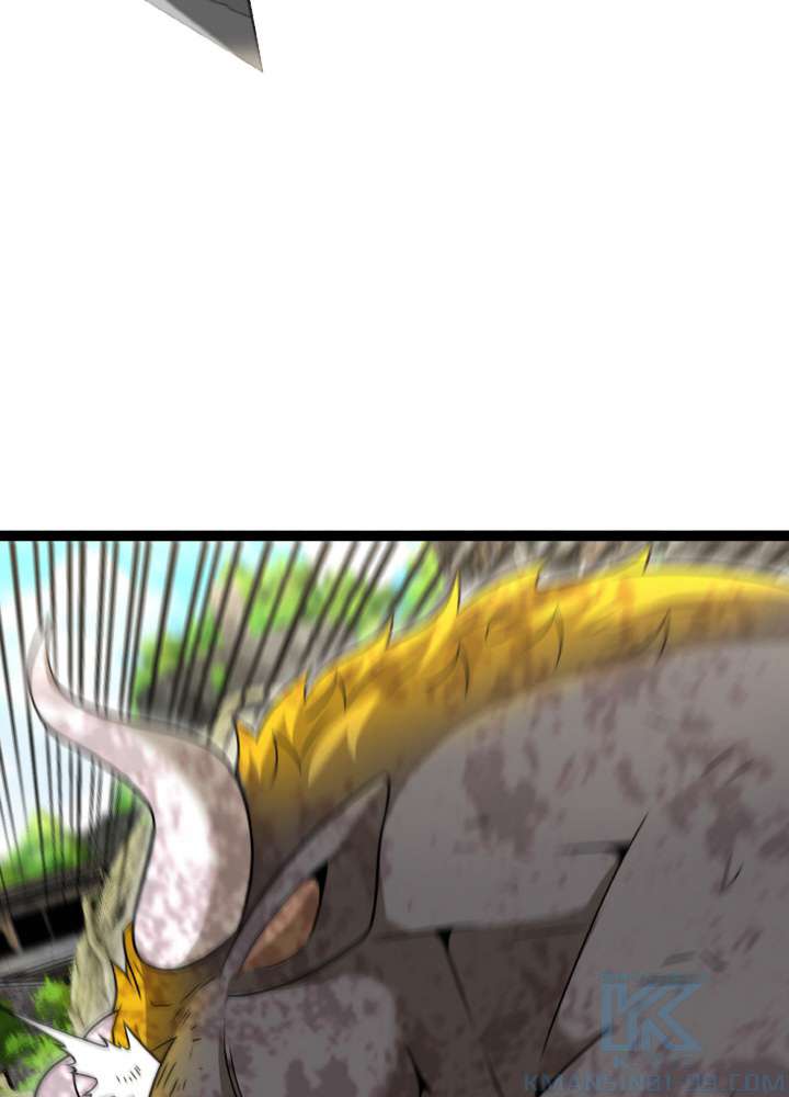 P58