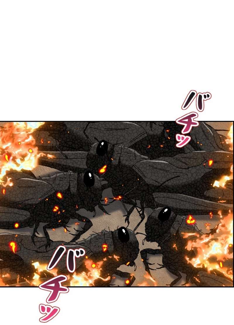 P53