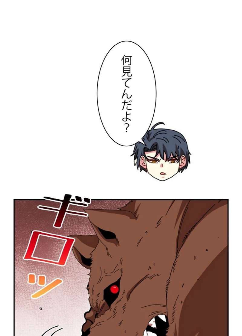 P33