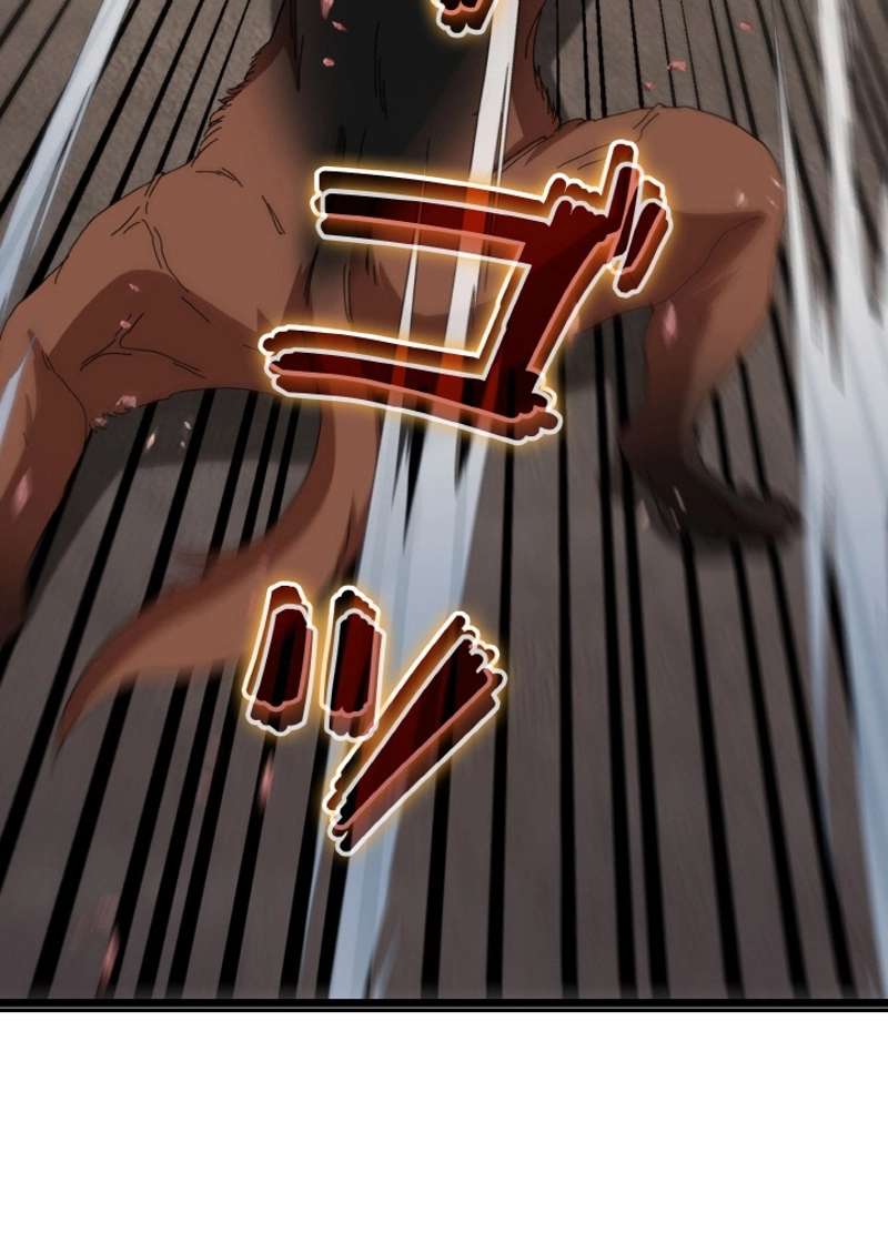 P41