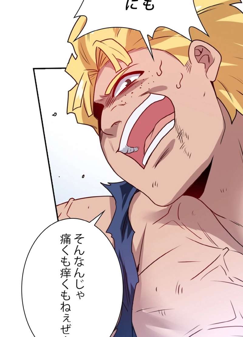 P65