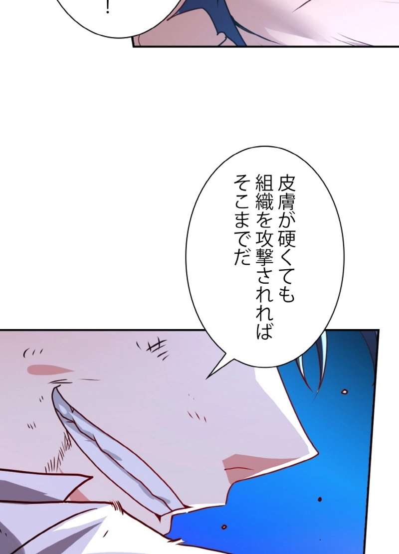 P66
