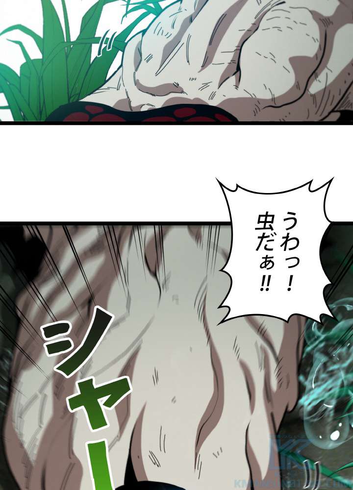 P46
