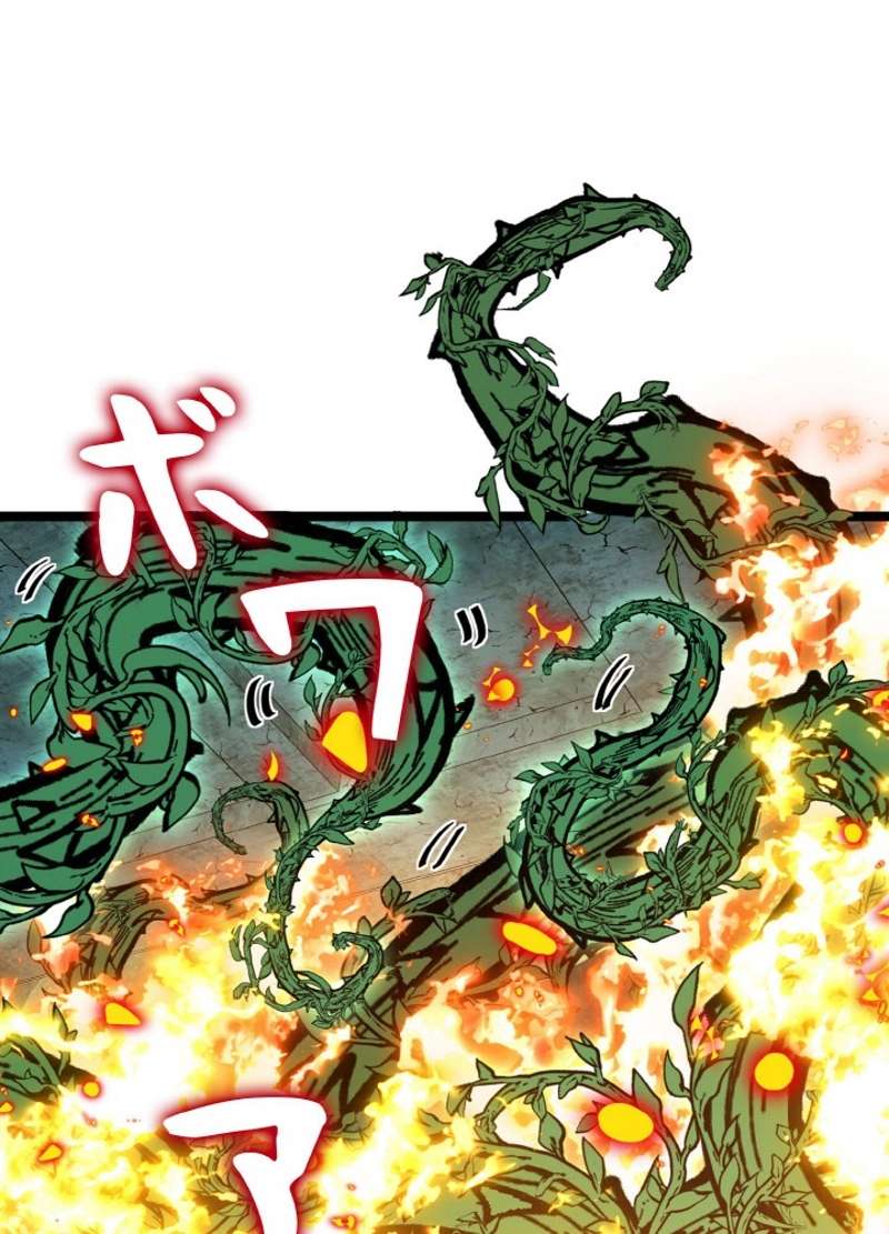P48