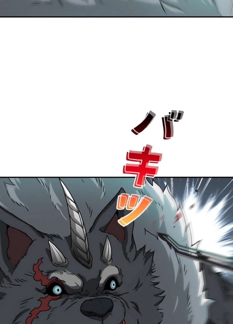P48