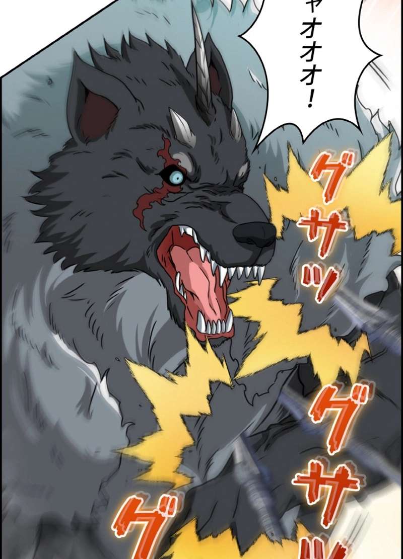 P66