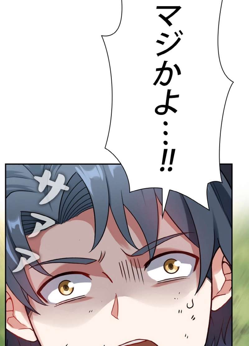 P48