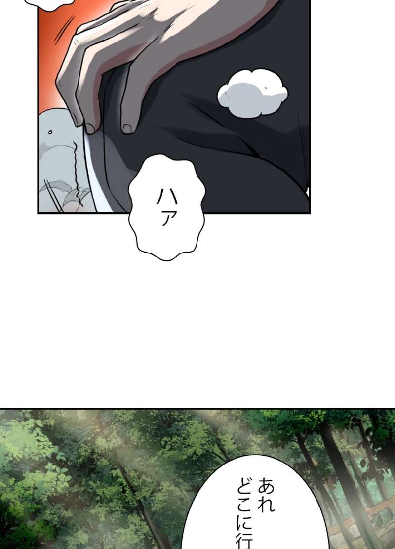 P66