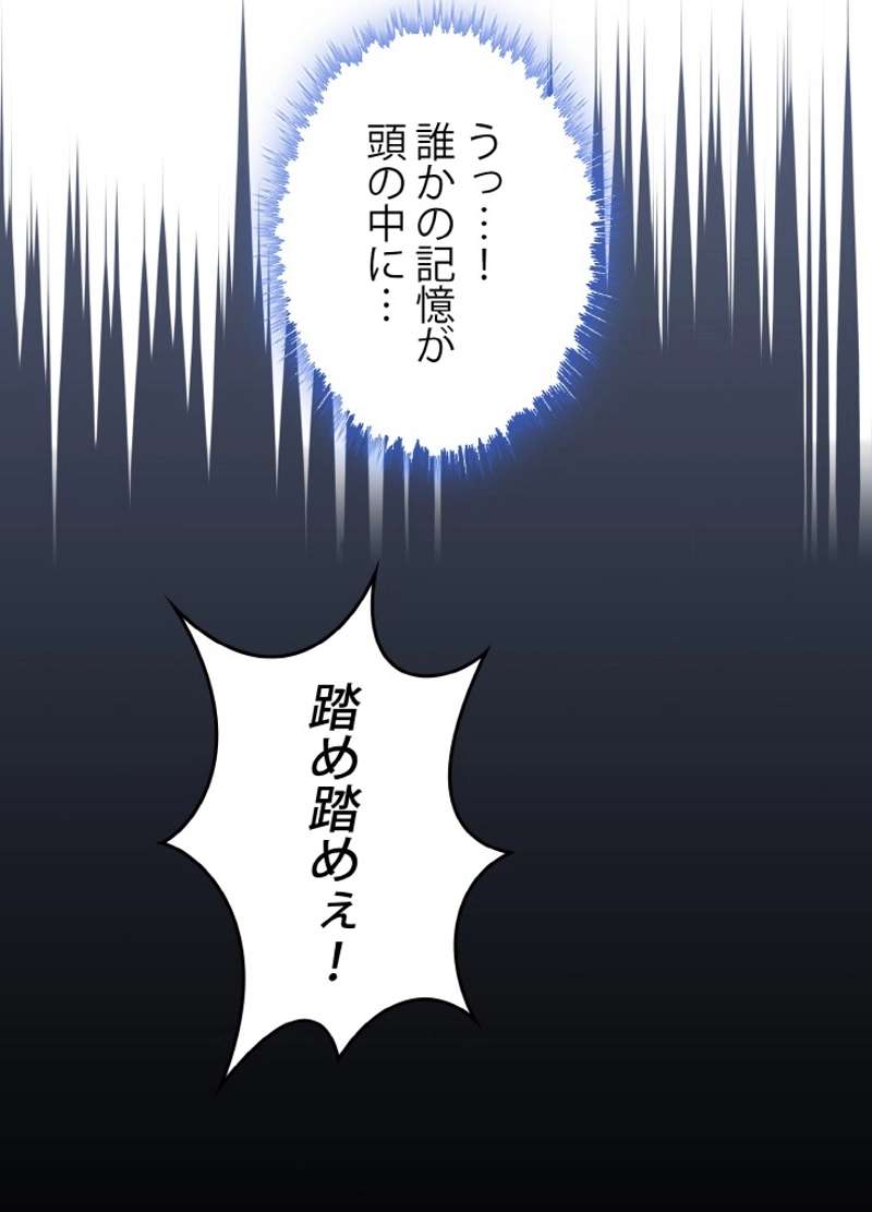 P61