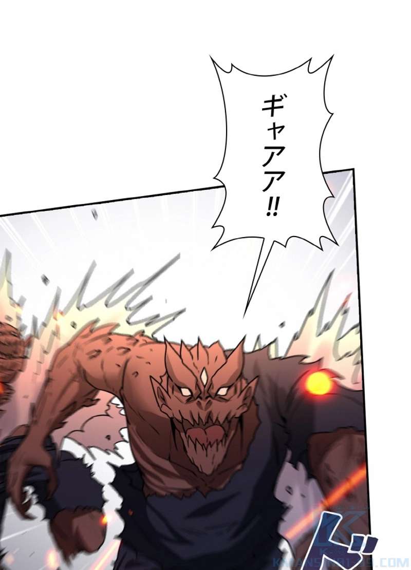 P58