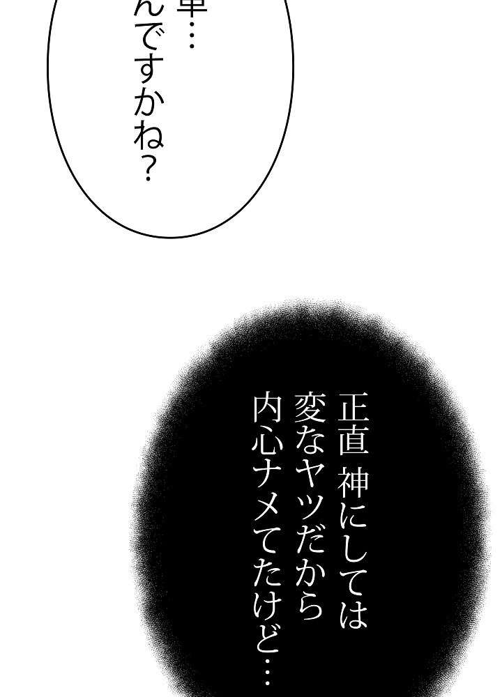 P66