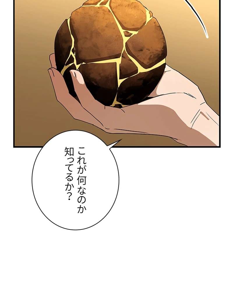 P66