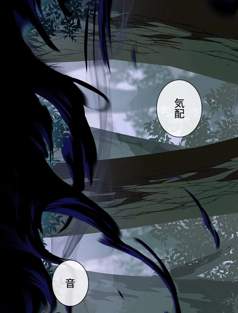 P53