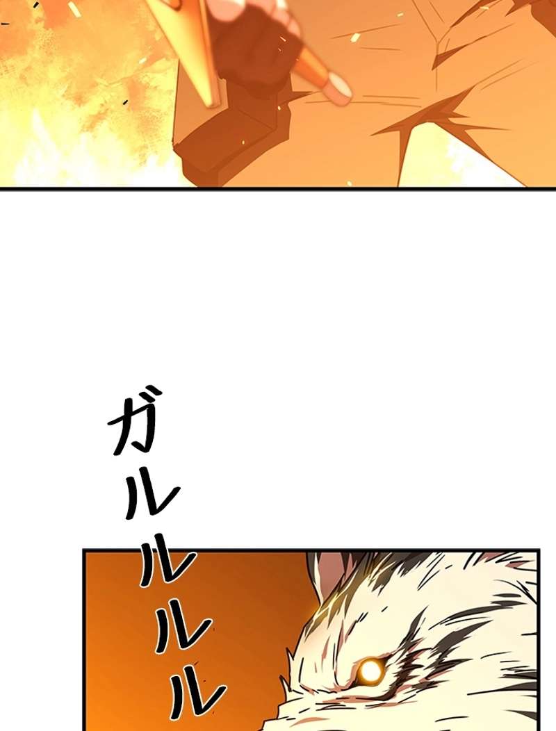 P53
