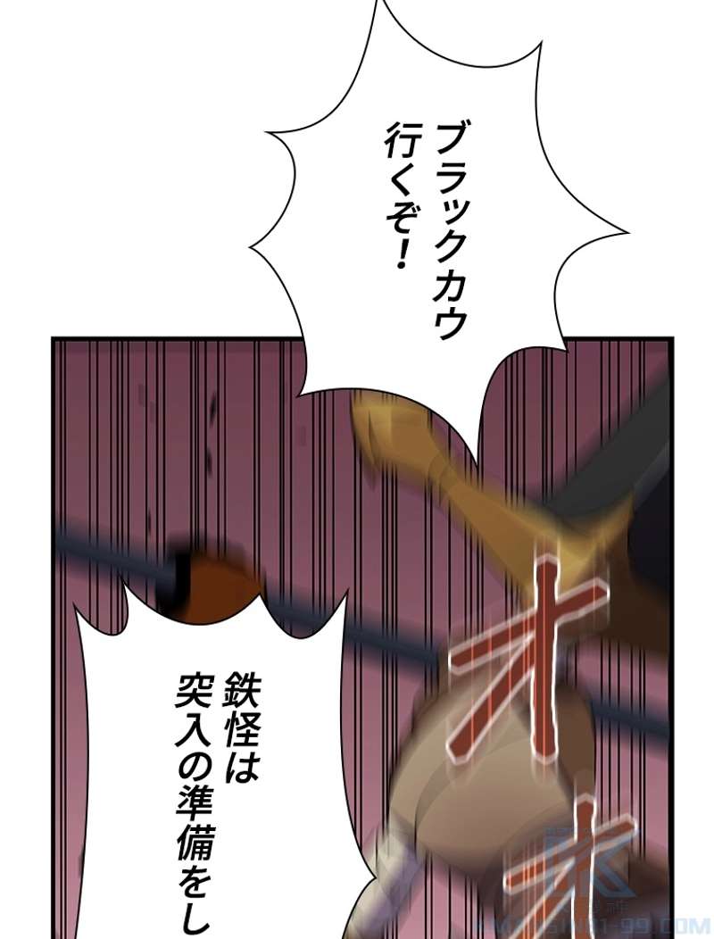 P61