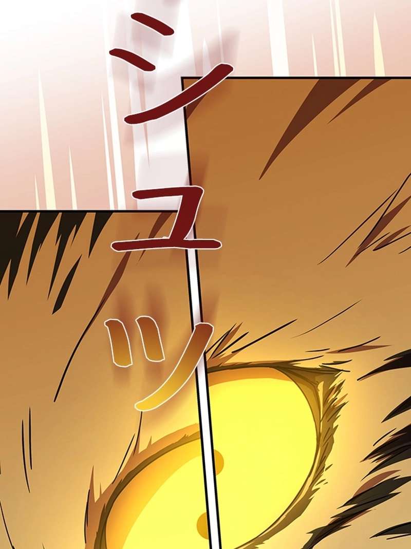 P24