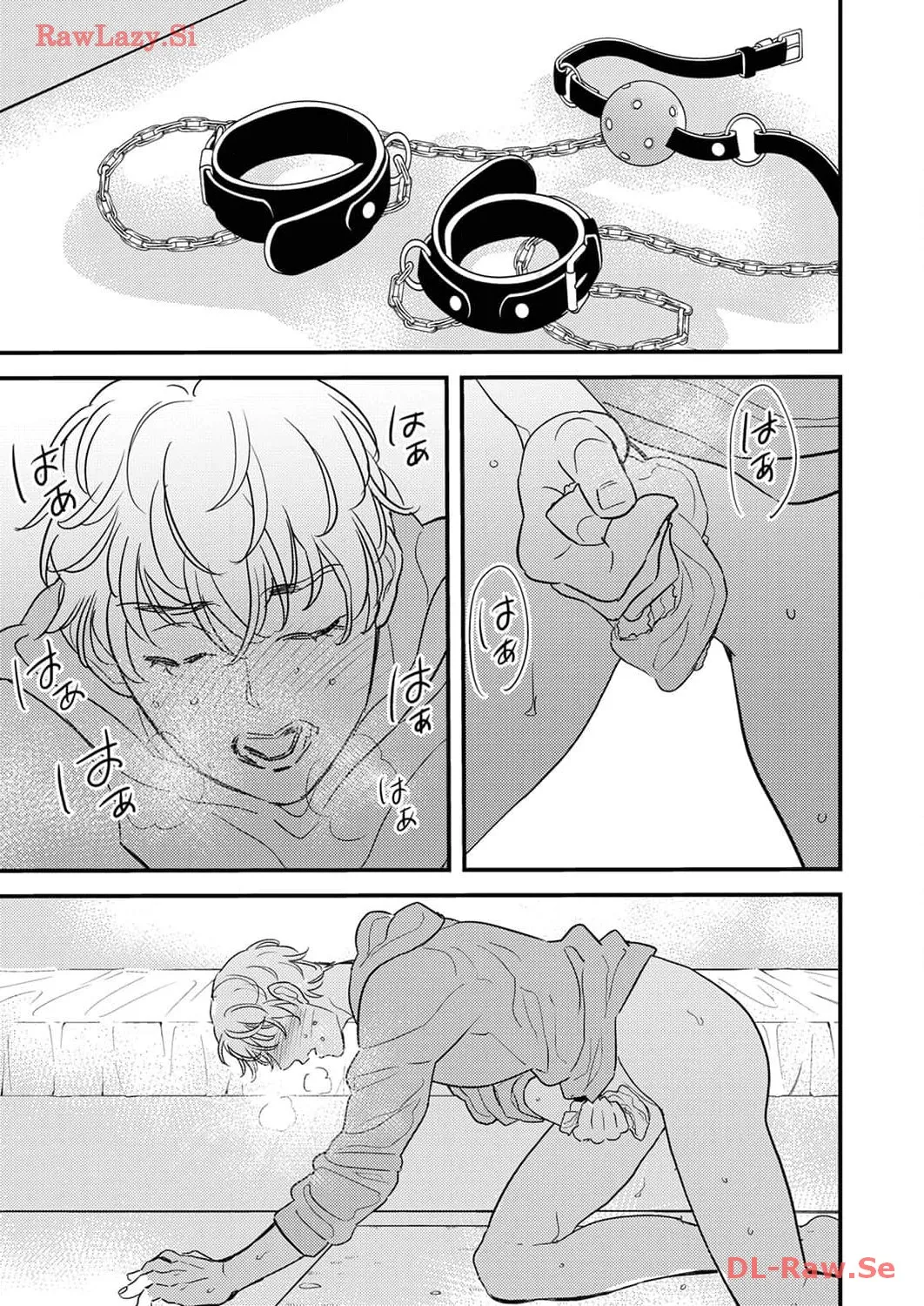 P31