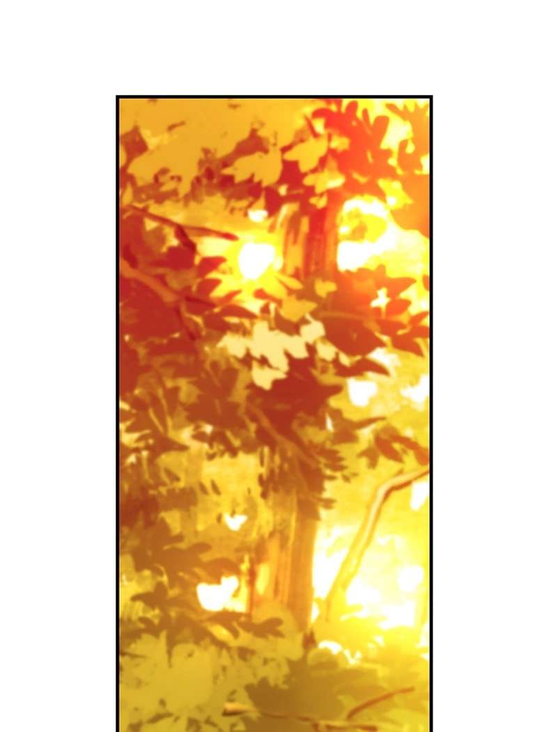 P114