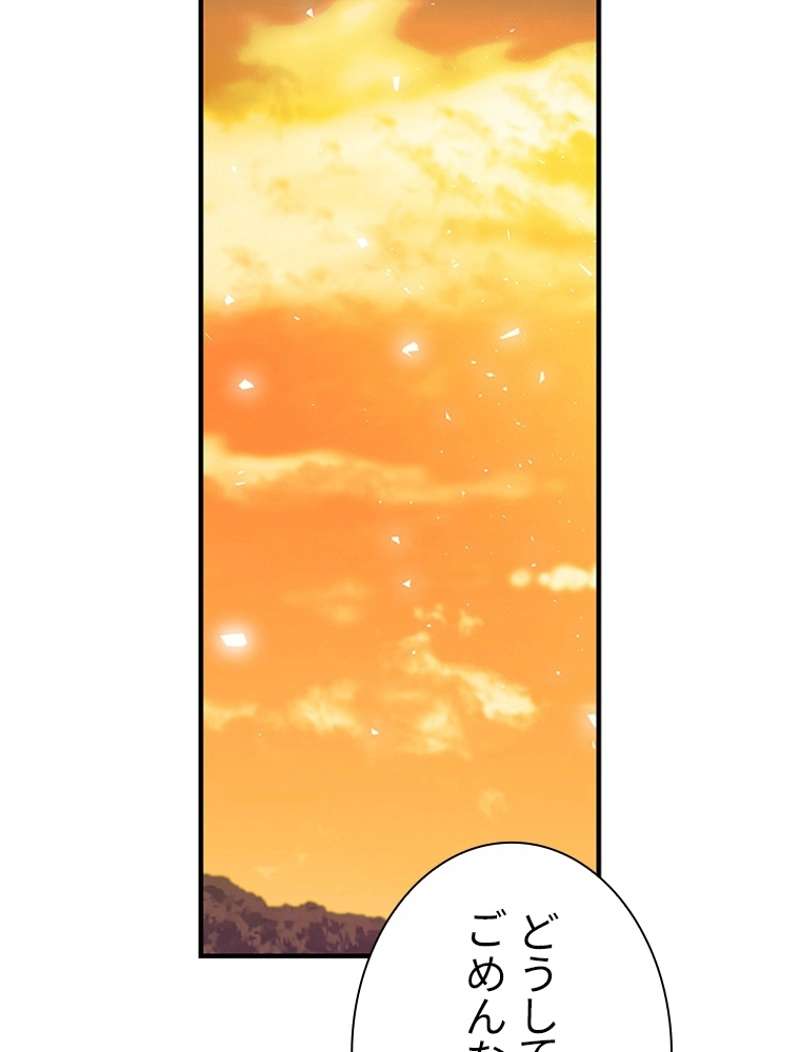 P61