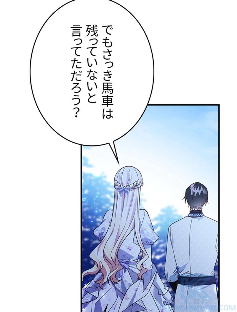 P58