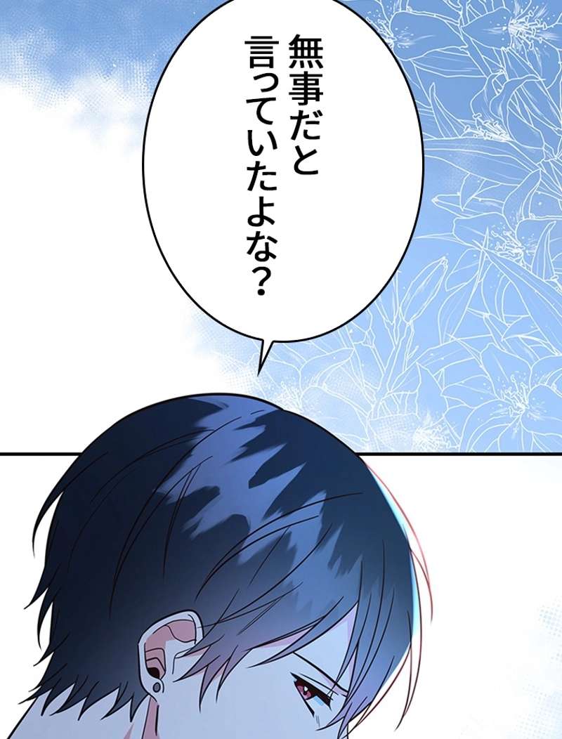 P63