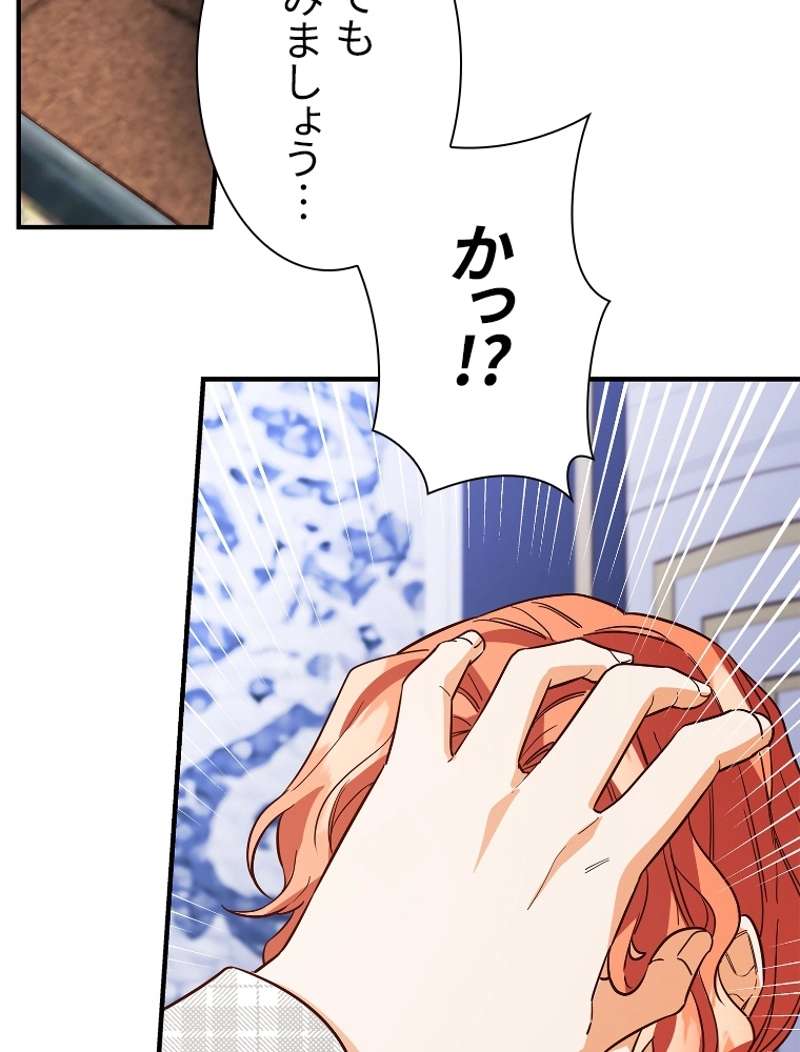 P66