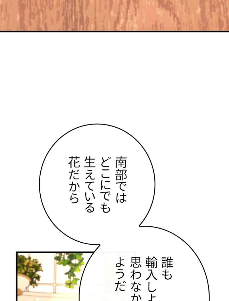 P66
