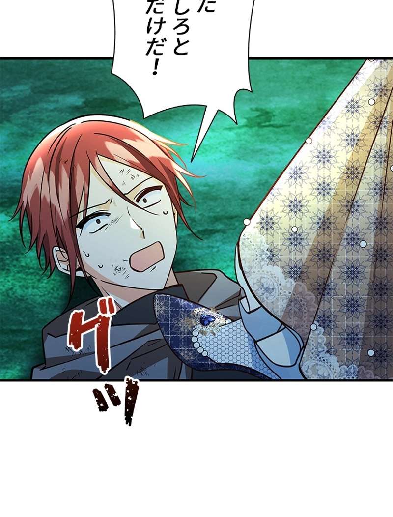 P61