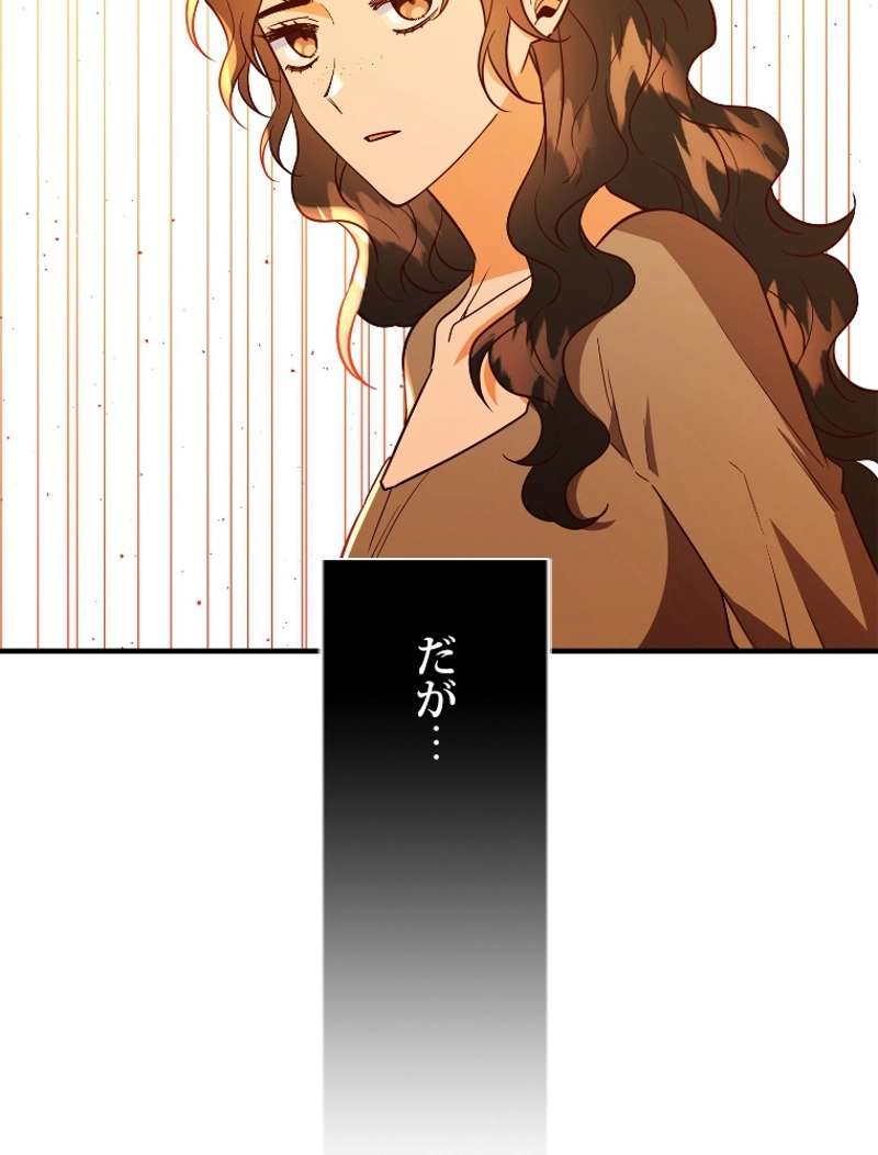 P66