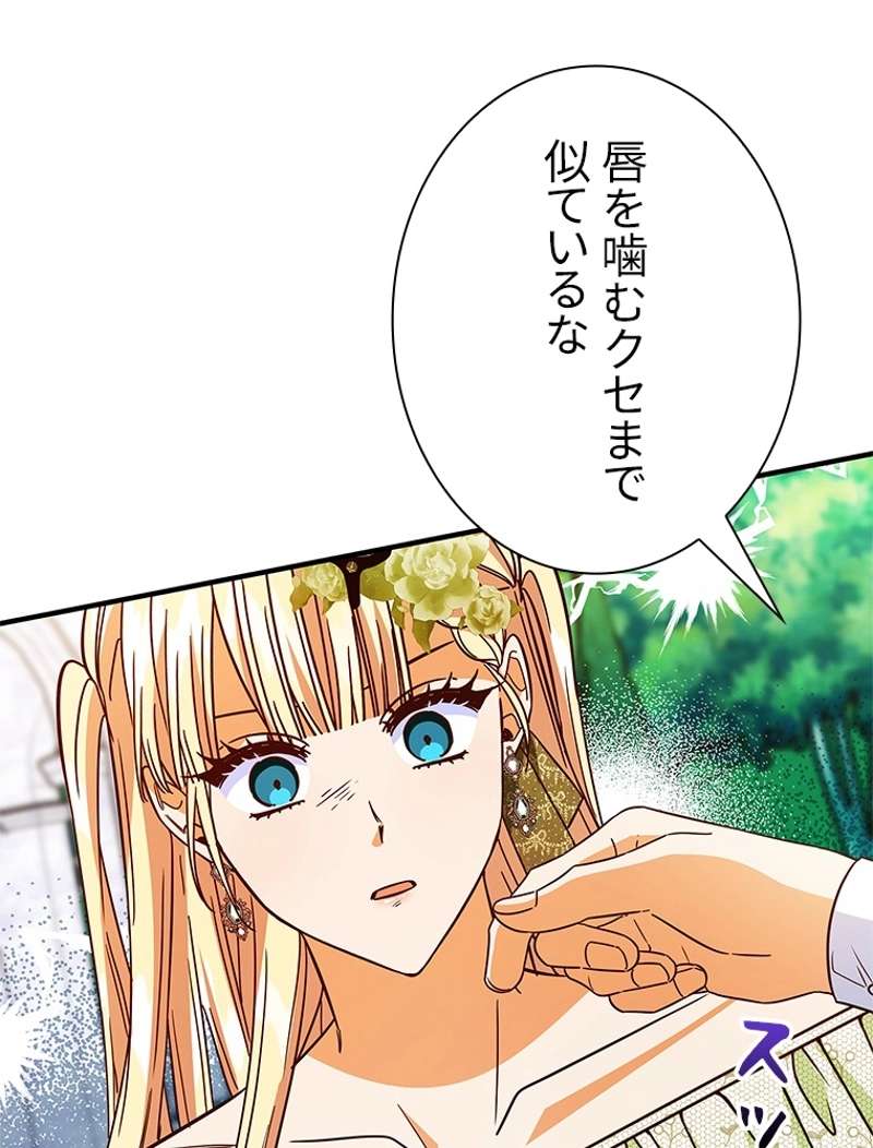 P61