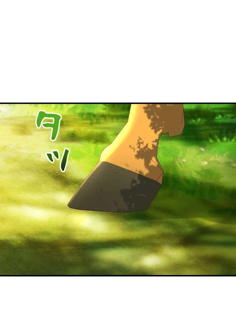 P66