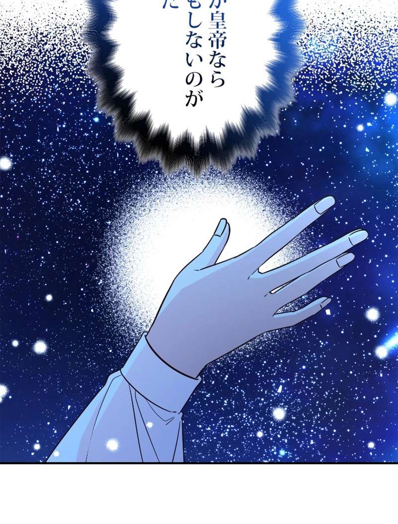 P66