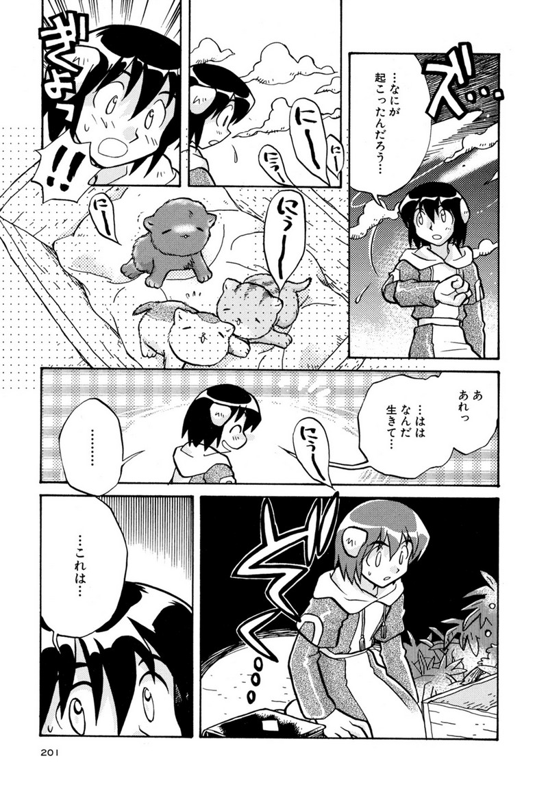 P23