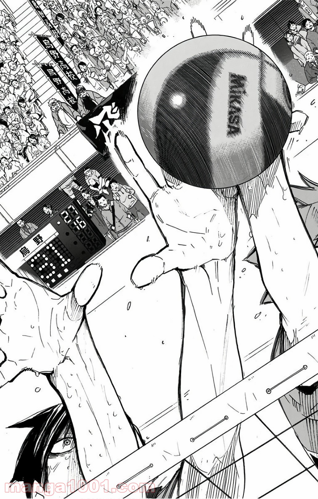P16