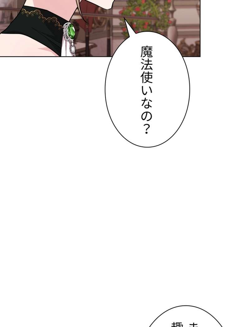 P58