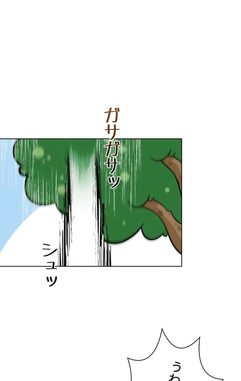 P64
