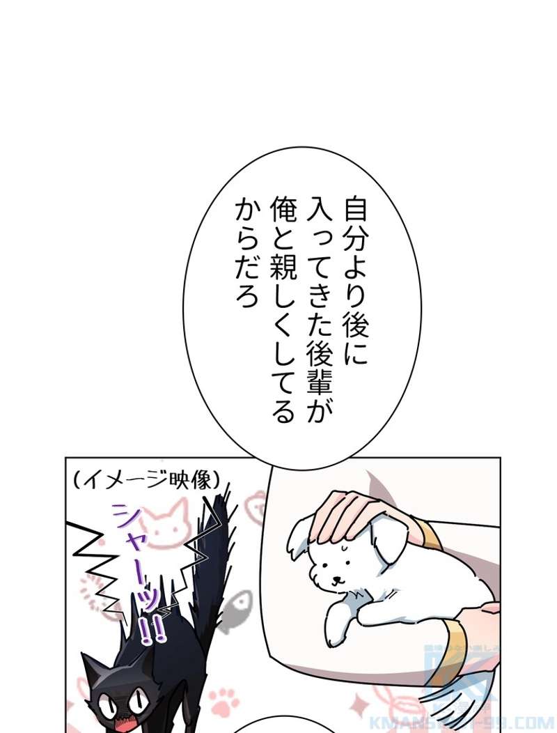 P65