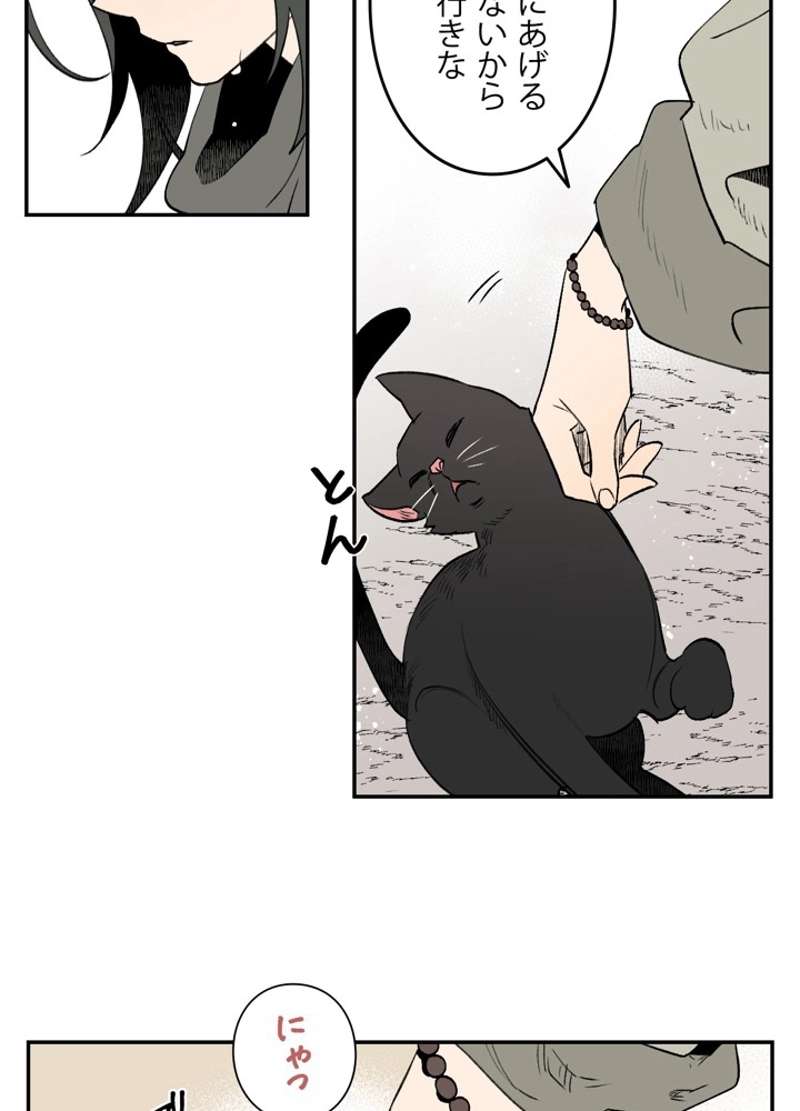 P24