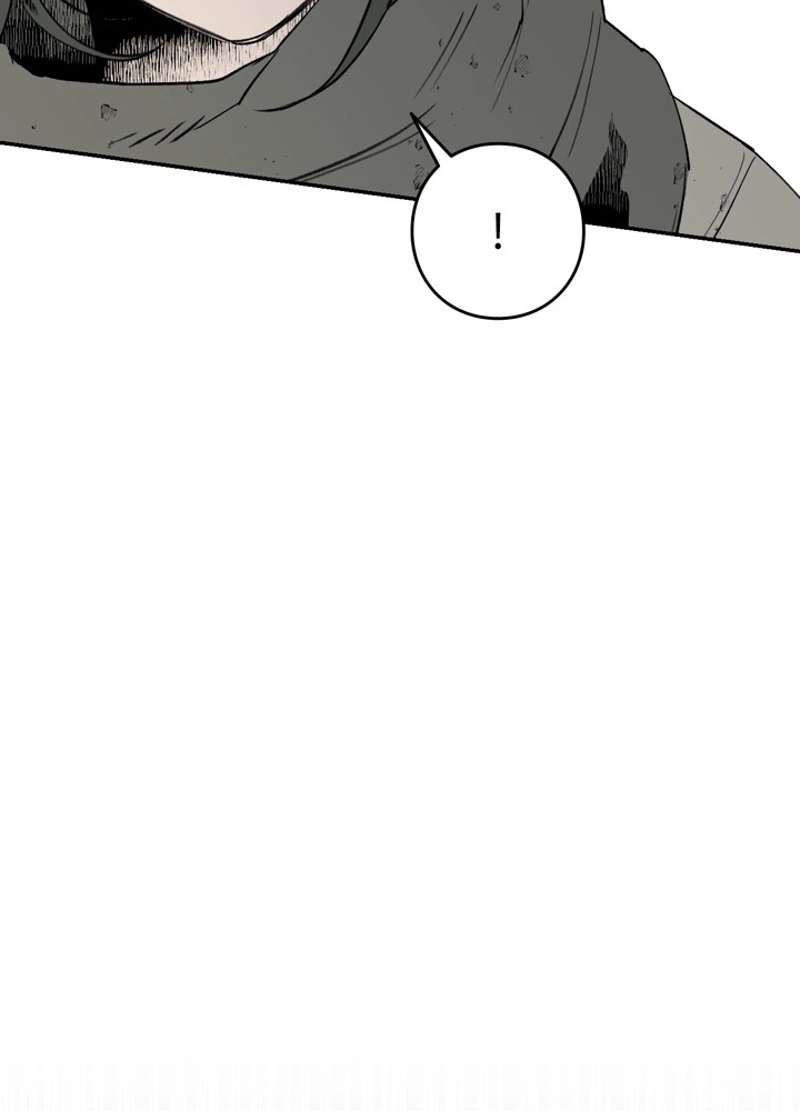 P51